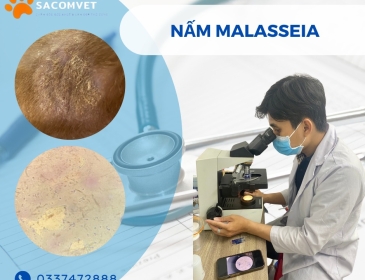 Công nghệ trong thú y hiện nay 