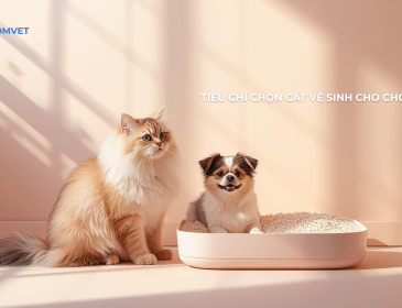 Tiêu chí chọn cát vệ sinh cho chó mèo