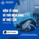 Điều trị viêm tử cung cho chó tại Quận 2 – Phòng khám thú y SACOMVET uy tín